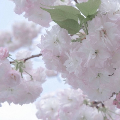 兽设细节刻画技巧兽圈社群